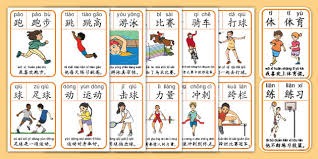 2025年全国马术场地障碍锦标赛：张勇成功卫冕 洪志华和木拉得力分获亚军和季军